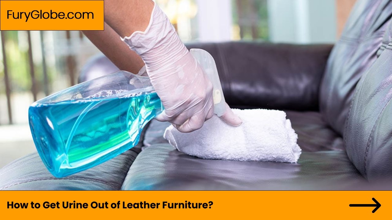 How to Get Urine Out of Leather Furniture